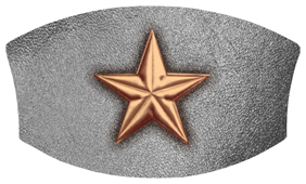 DNSWILL 430 CP SL Star Copper Silver